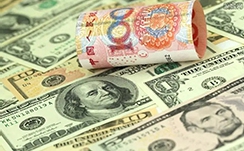 泉州博物馆新“金枝玉叶”展览